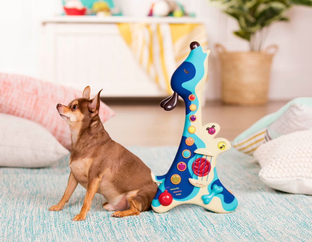 Dog Guitar Toy