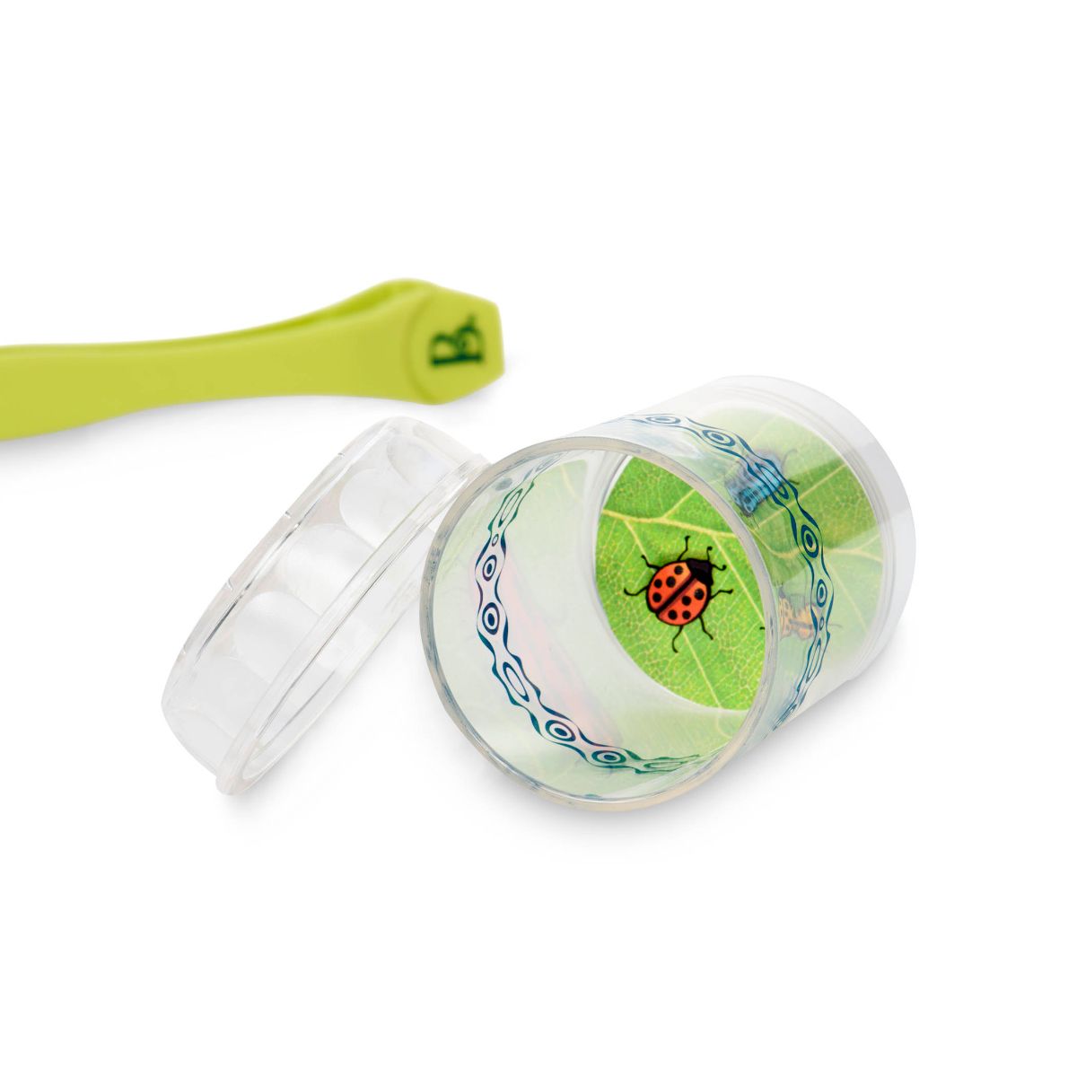 Bug Habitat Kit
