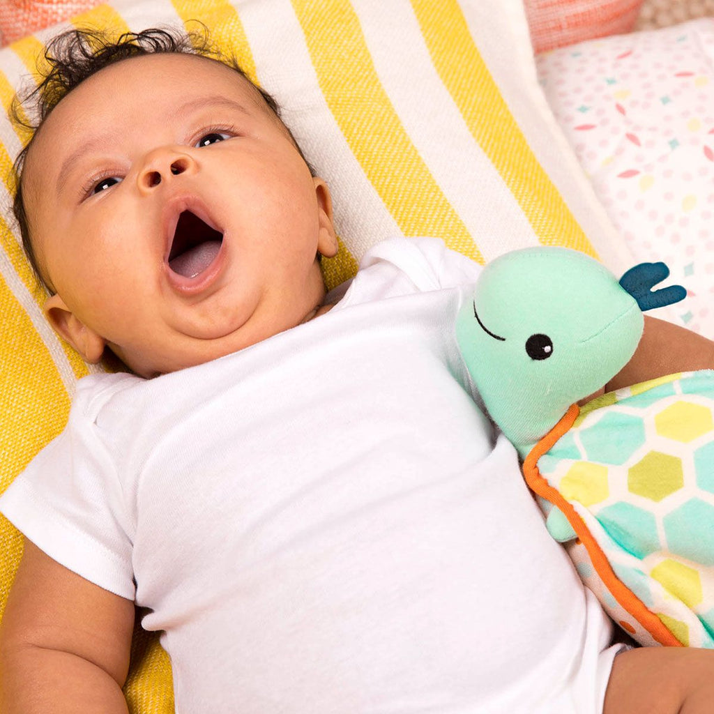 Shellé Sleep Turtle