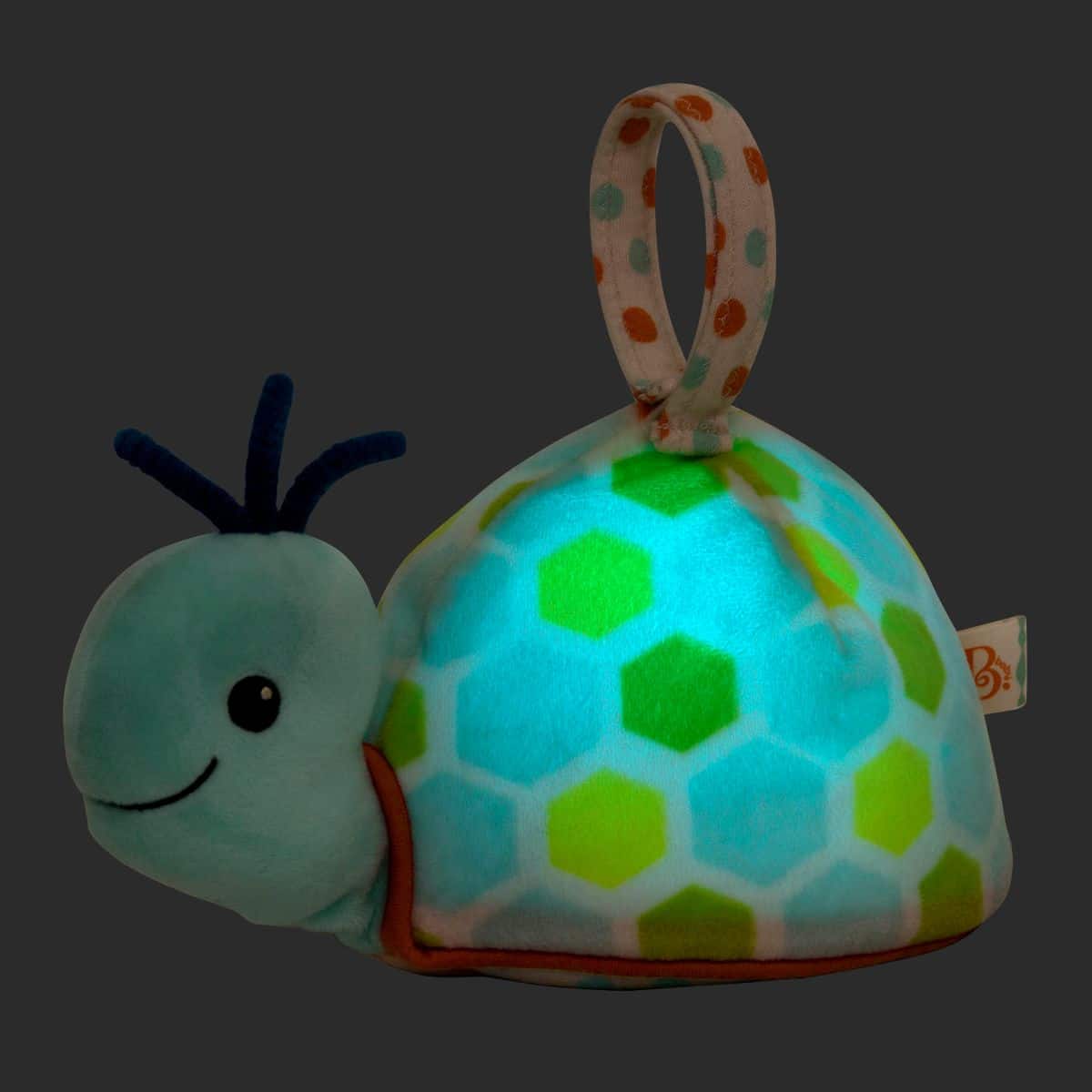 Shellé Sleep Turtle