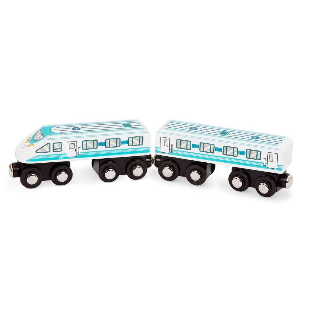Wooden Train Surprise