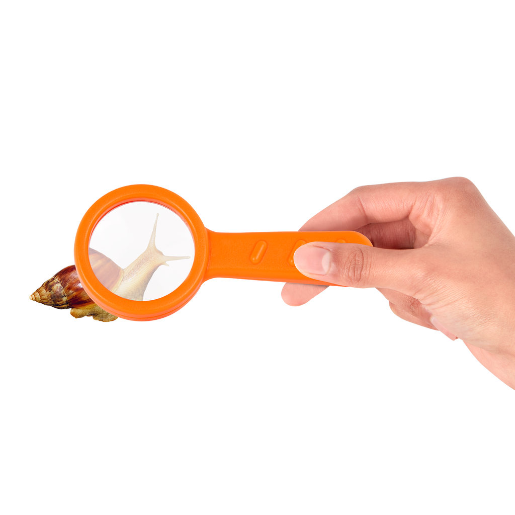 Insect Explorer Kit