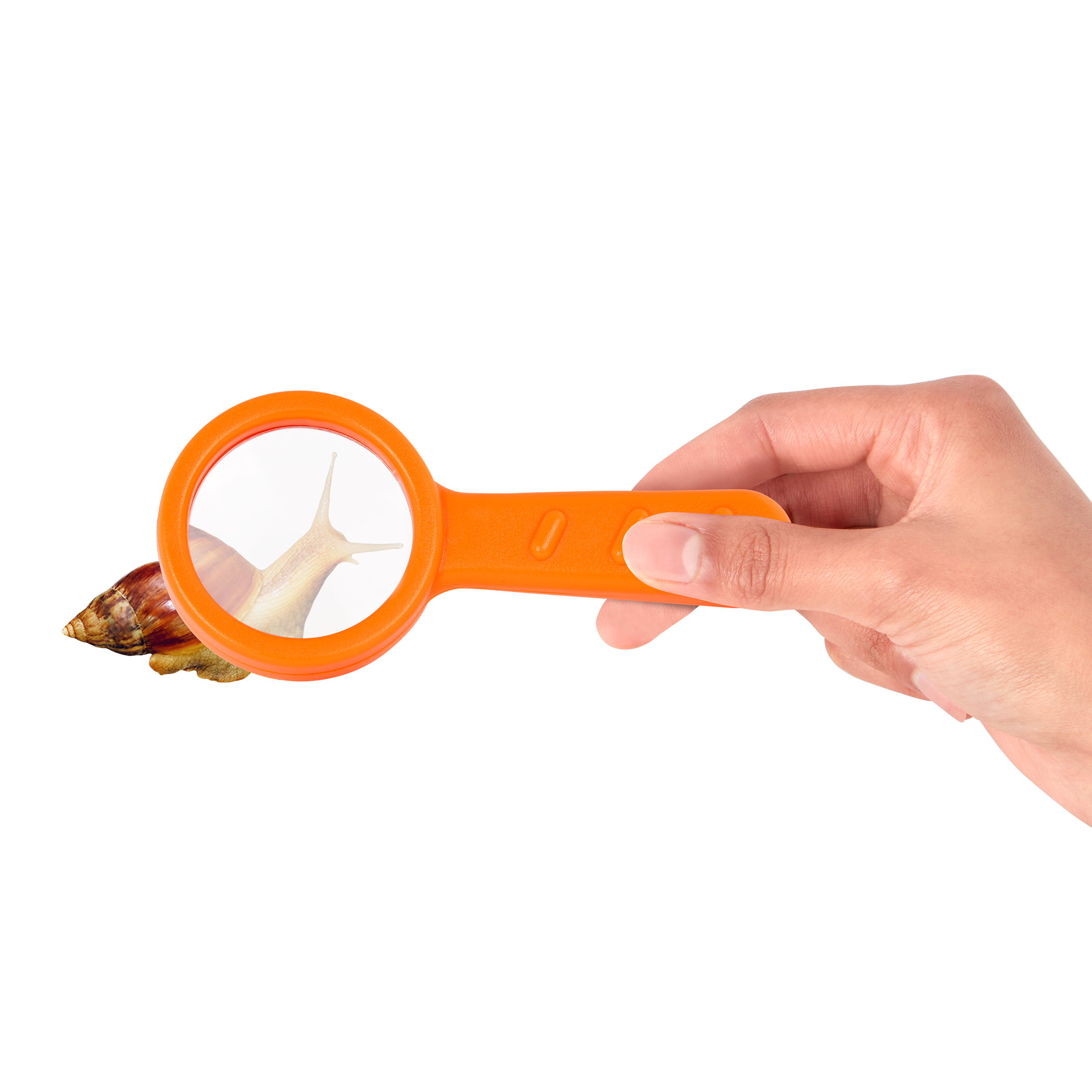 Insect Explorer Kit