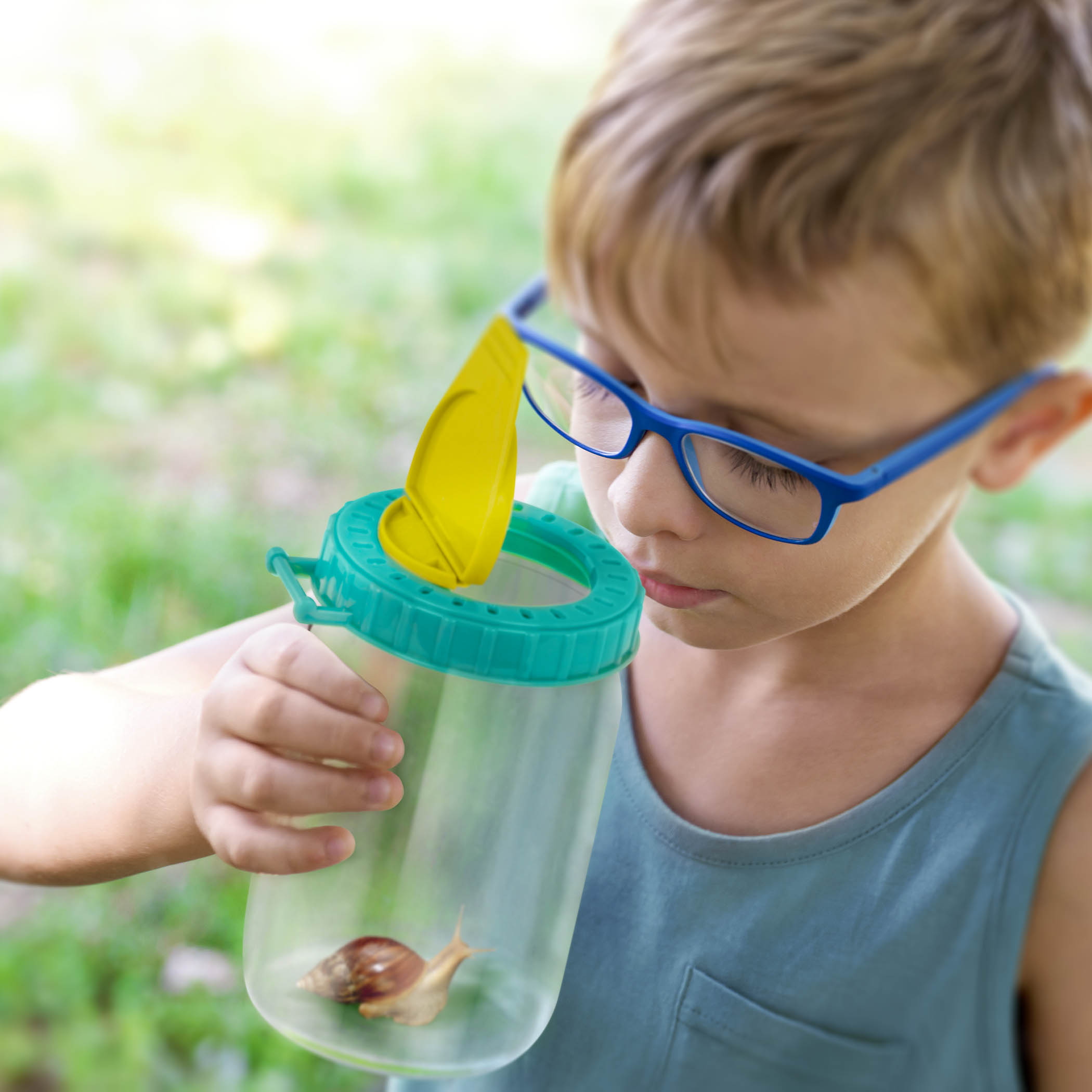 Insect Explorer Kit