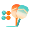 Pickleball Set