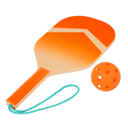 Pickleball Set
