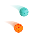Pickleball Set
