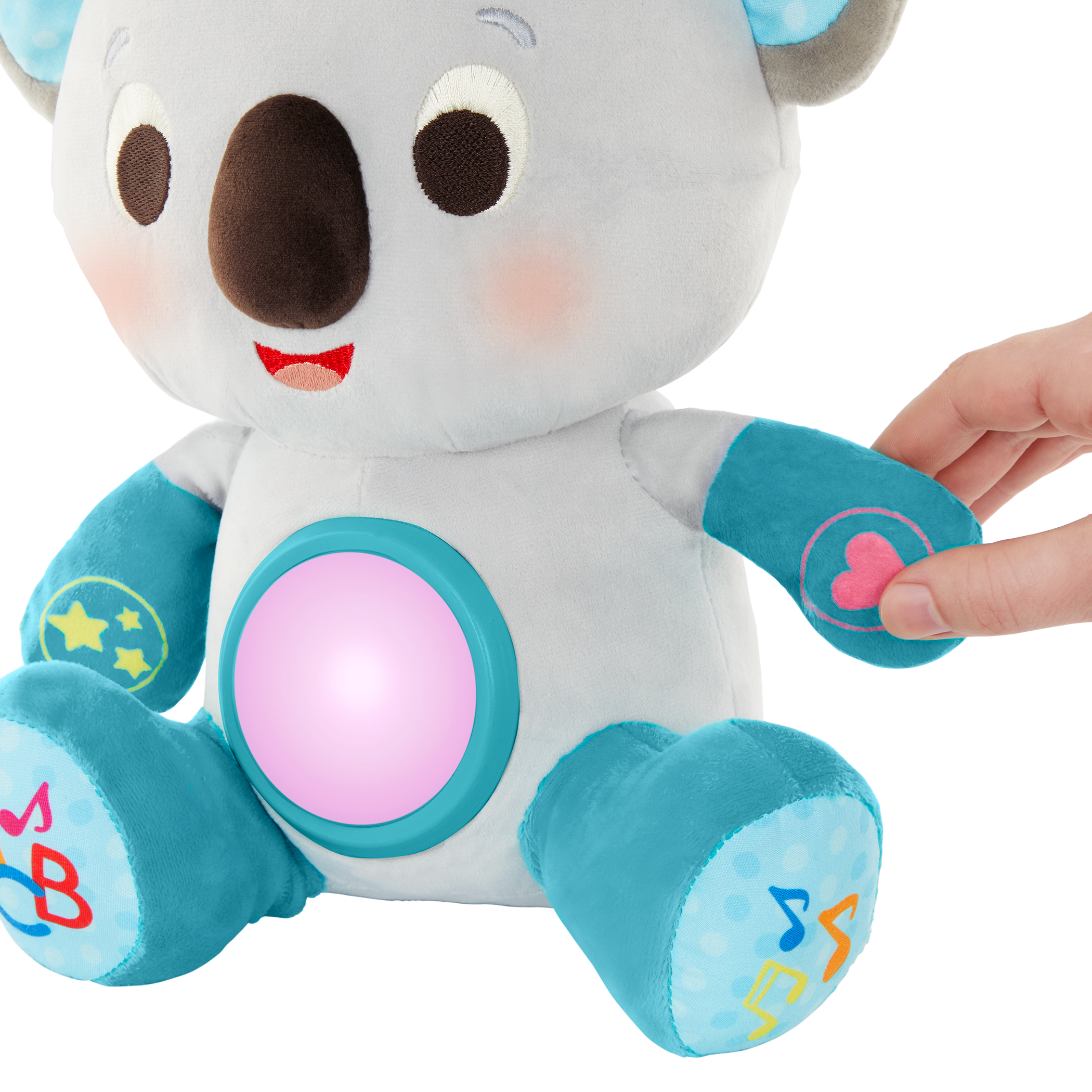 Kiki Learning Koala